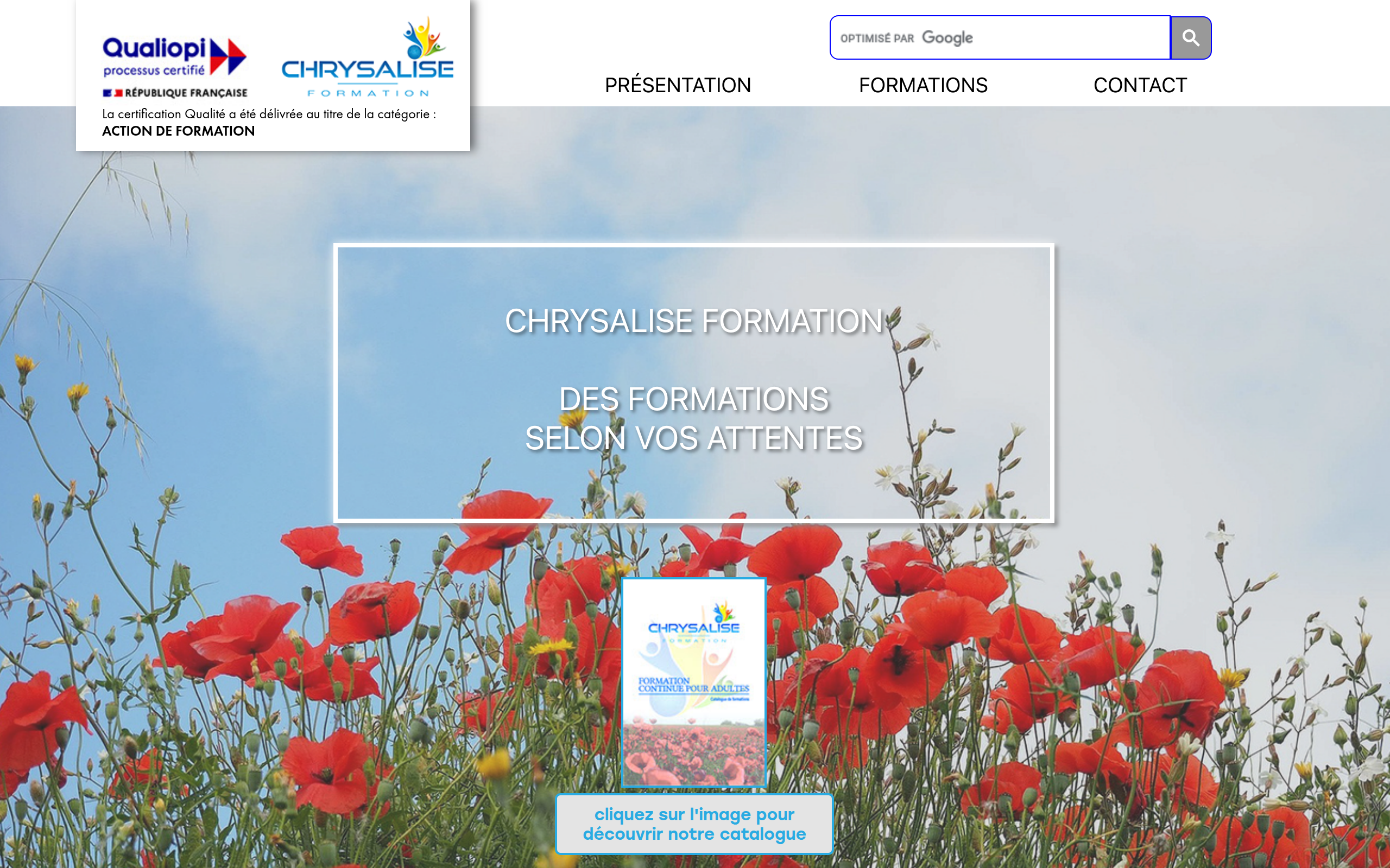 CHRYSALISE FORMATION